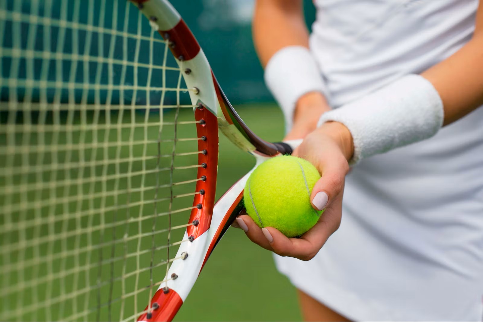 MSC World Europa - MSC Sportplex